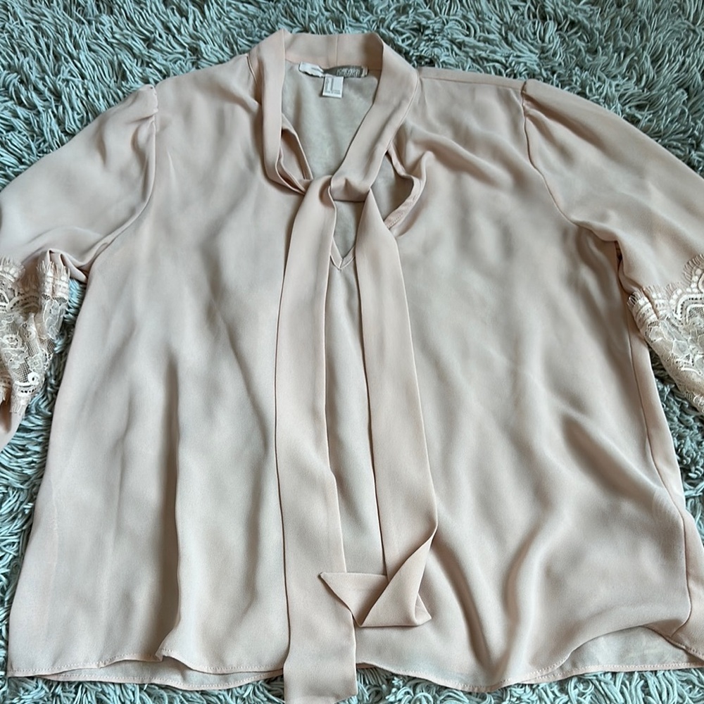 Elegant Light Pink Women's Blouse